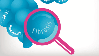 Looking glass on alveoli