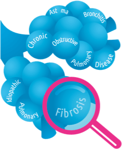Looking glass on alveoli