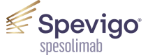 logo-primary-spevigo