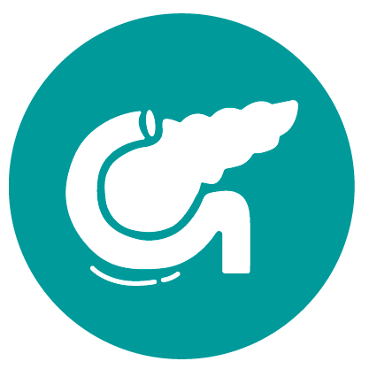 Pancreas